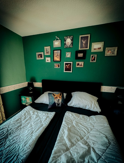 Zimmer mit grüner wand und Fuchs Kissen 